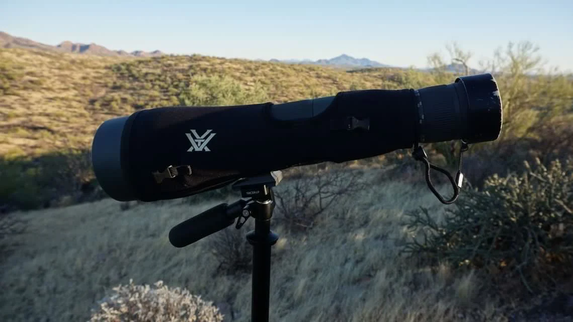 Tricer-LP - Image 10