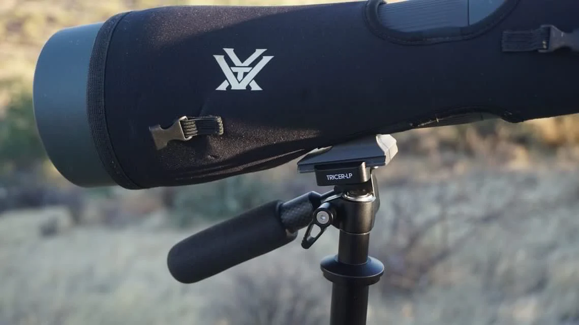 Tricer-LP - Image 11