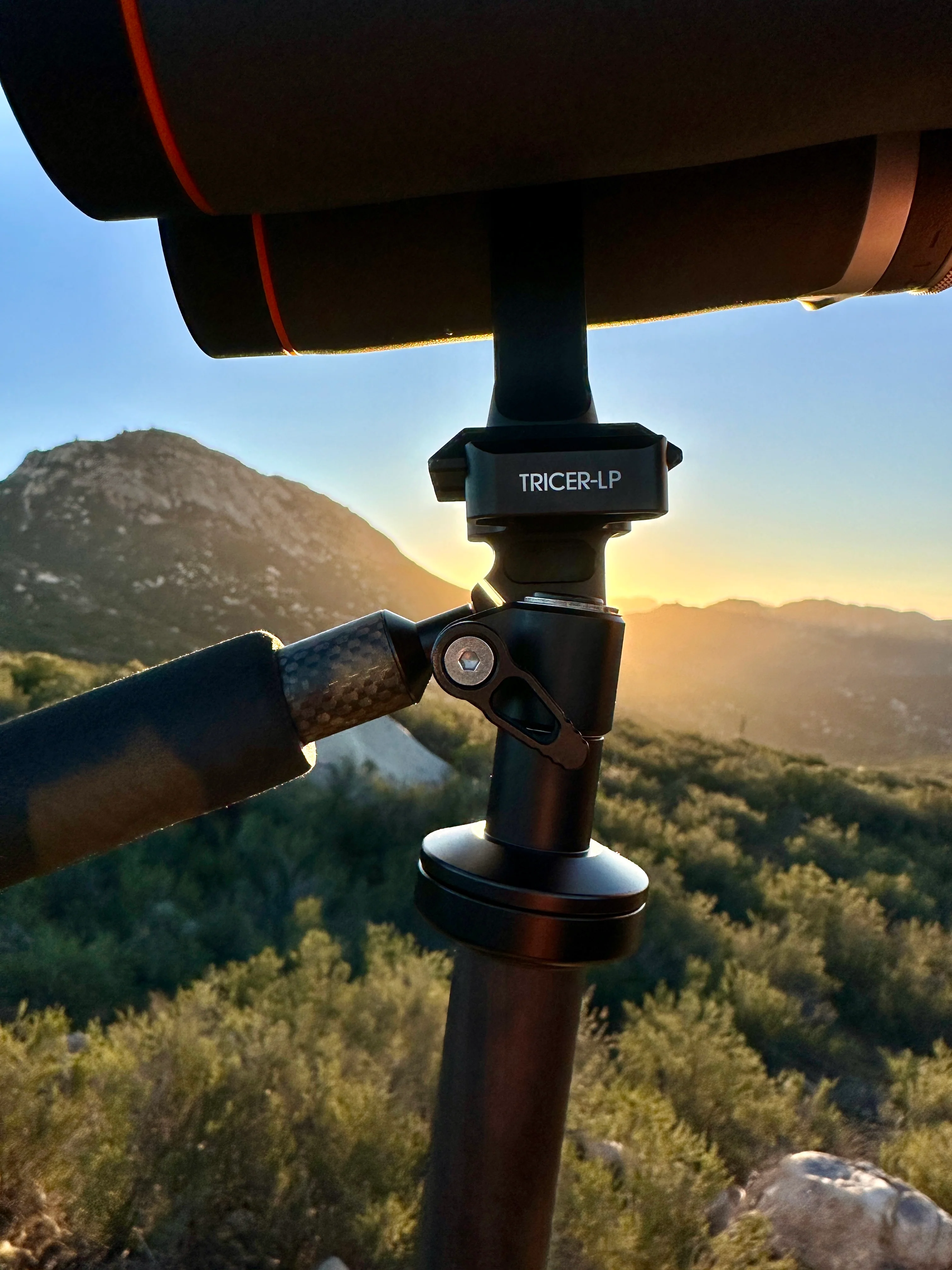 Tricer-LP - Image 13